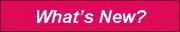 Click for the What's New Homepage